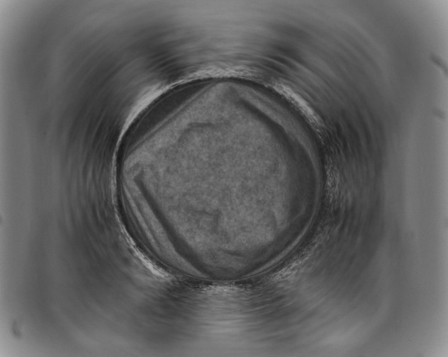 X0000098000894200804141204