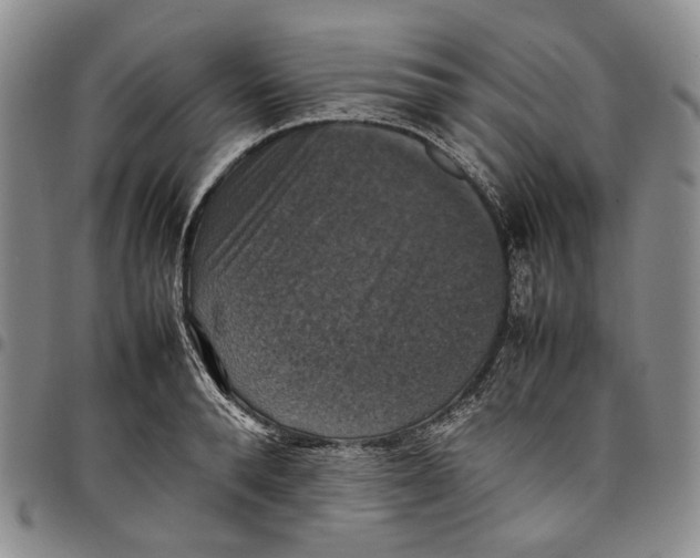 X0000098000896200804141204