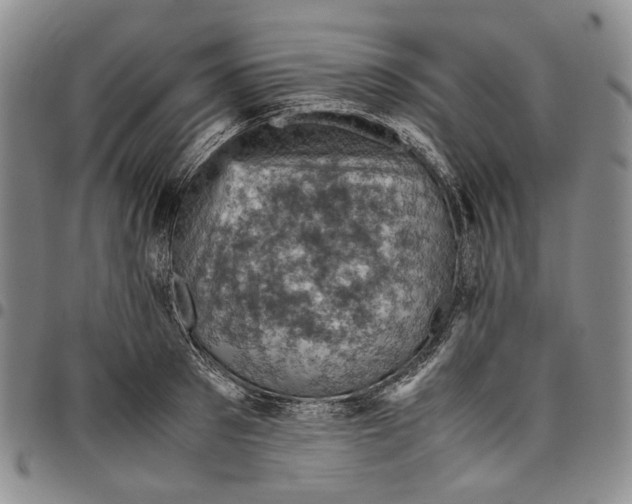 X0000098000897200804141204