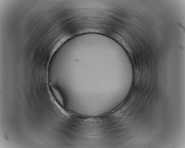 X0000098000898200804141204