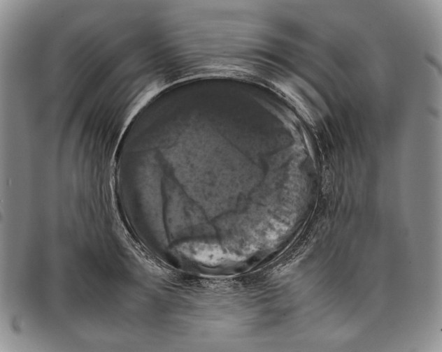 X0000098000899200804141204