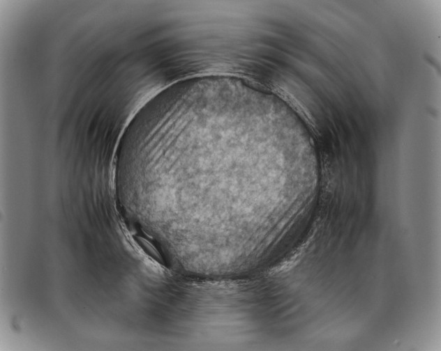 X0000098000900200804141204