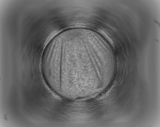 X0000098000901200804141204