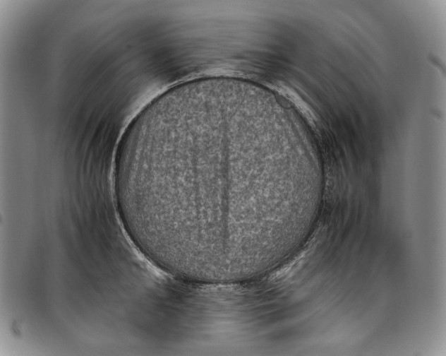 X0000098000902200804141204