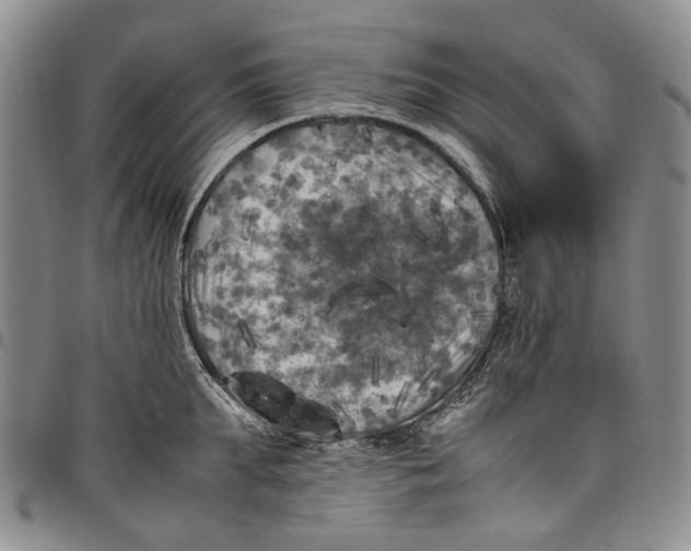 X0000098000903200804141204