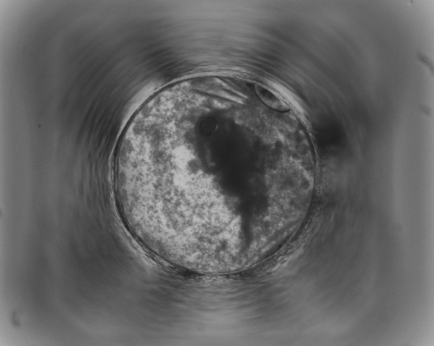 X0000098000907200804141204