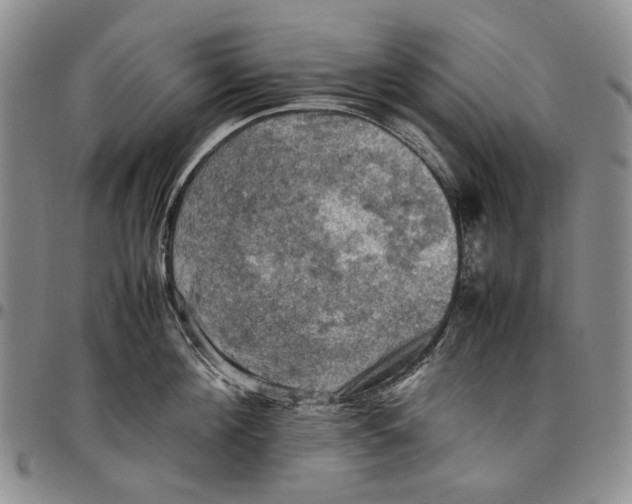 X0000098000908200804141204