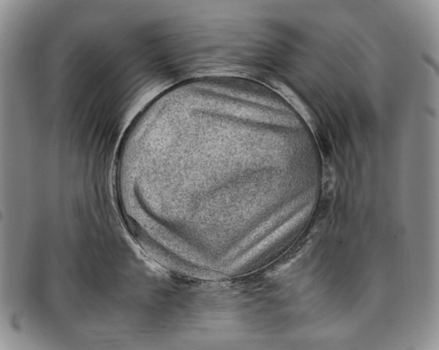 X0000098000909200804141204