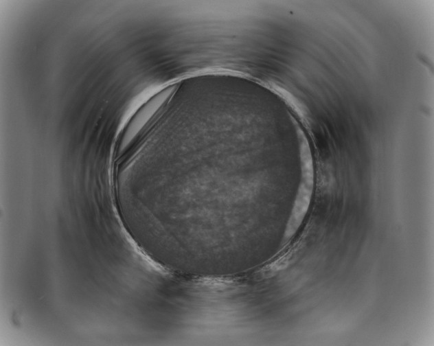X0000098000910200804141204