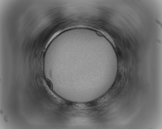 X0000098000911200804141203