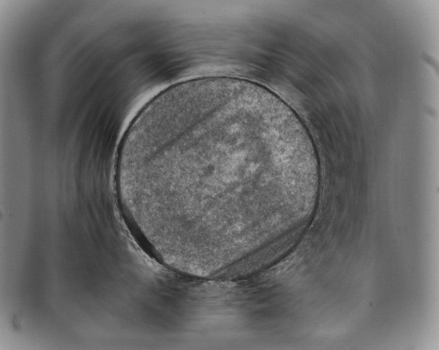 X0000098000912200804141203