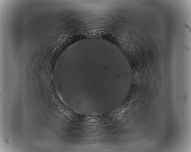 X0000098000913200804141203
