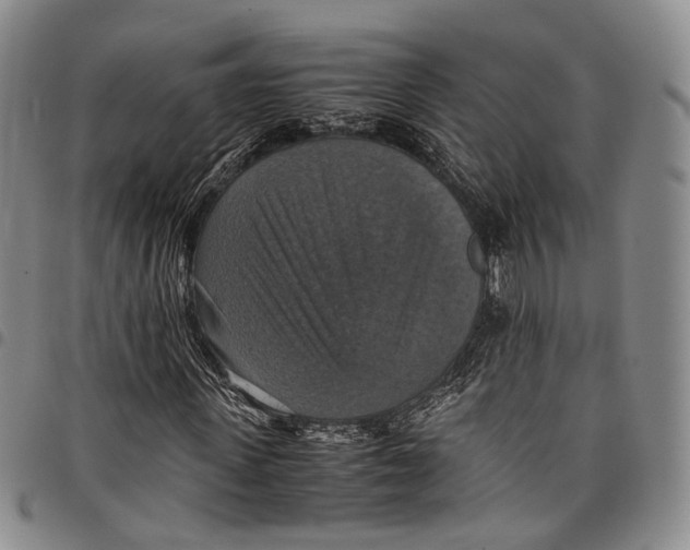 X0000098000915200804141203