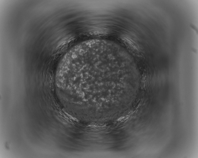X0000098000917200804141203