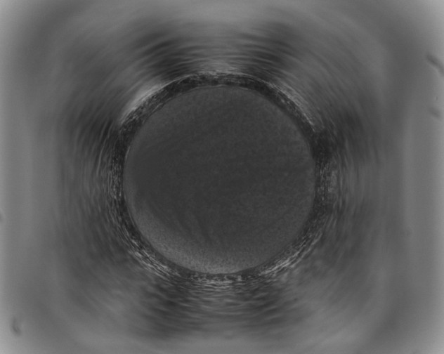 X0000098000919200804141203