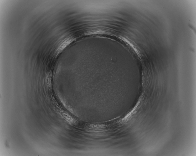 X0000098000921200804141203