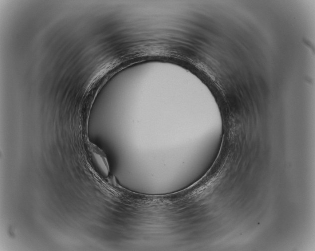 X0000098000922200804141203