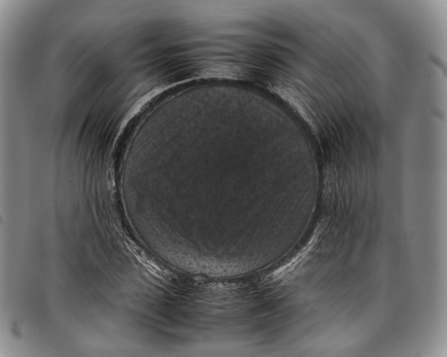X0000098000923200804141203
