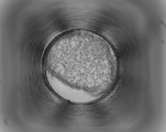 X0000098000924200804141203