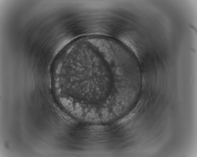 X0000098000925200804141203