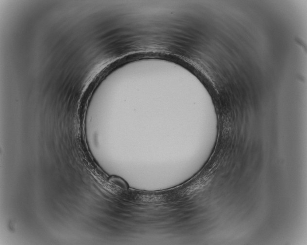X0000098000927200804141203