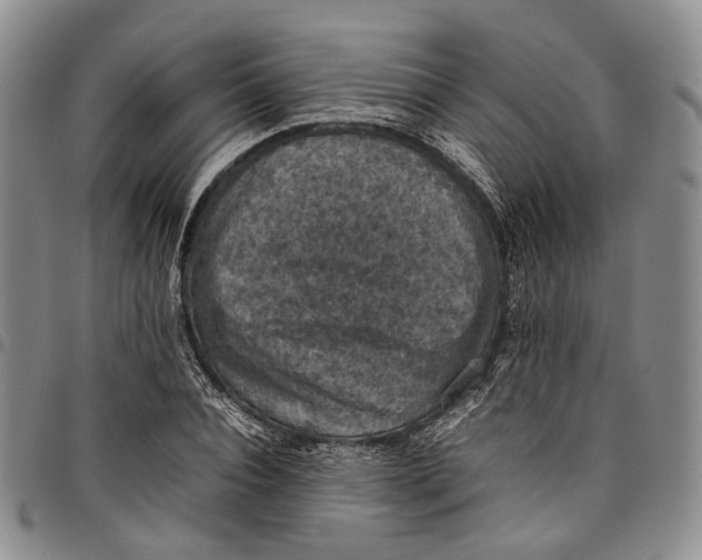 X0000098000928200804141203