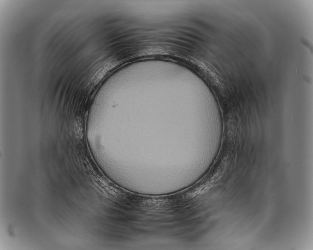 X0000098000929200804141203