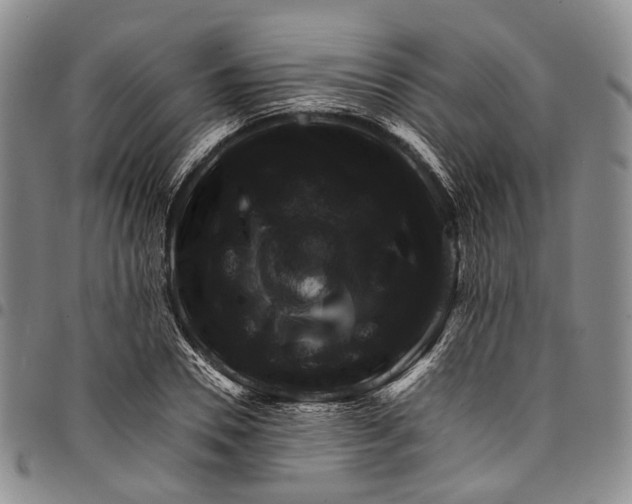 X0000098000930200804141203