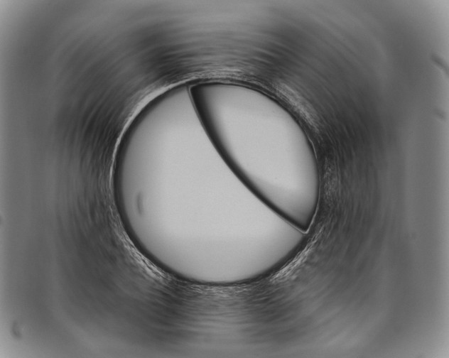 X0000098000932200804141203