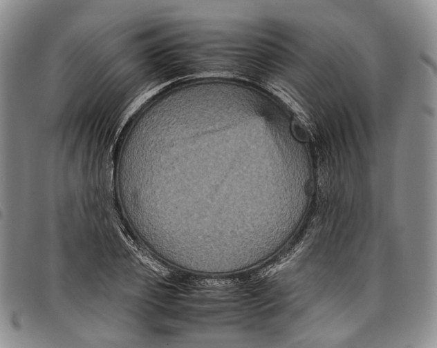 X0000098000933200804141203