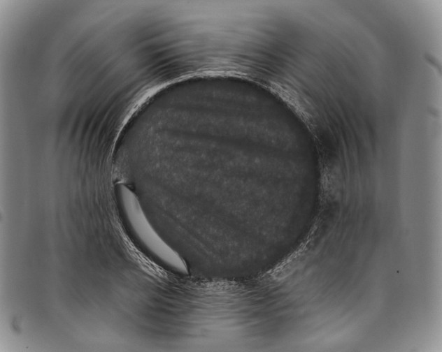 X0000098000934200804141203