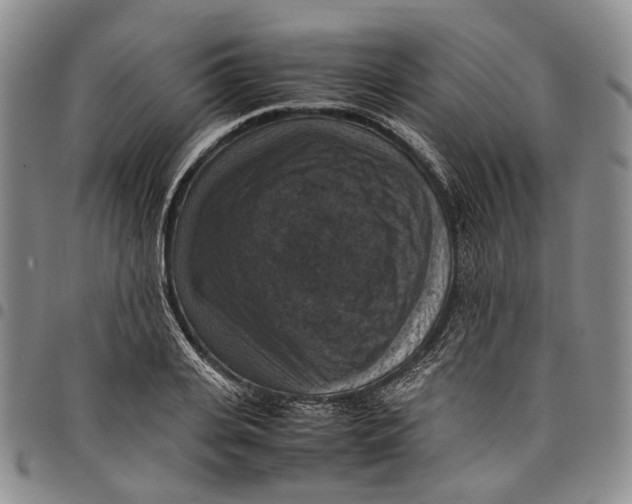 X0000098000935200804141203