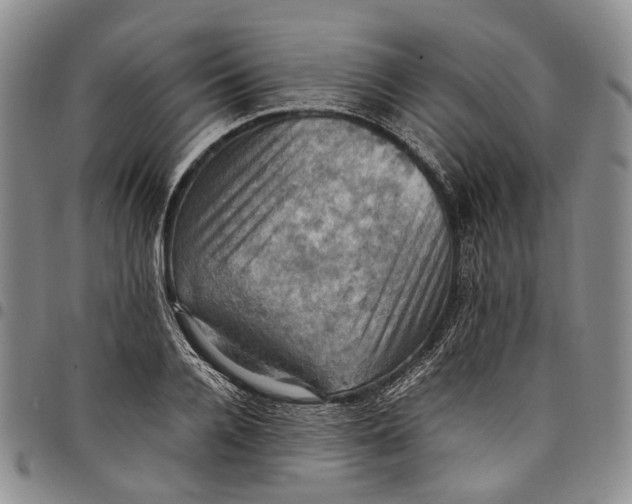X0000098000936200804141203