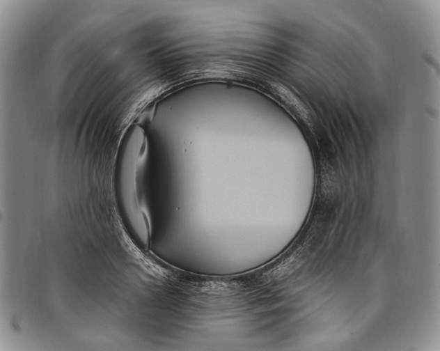 X0000098000938200804141203