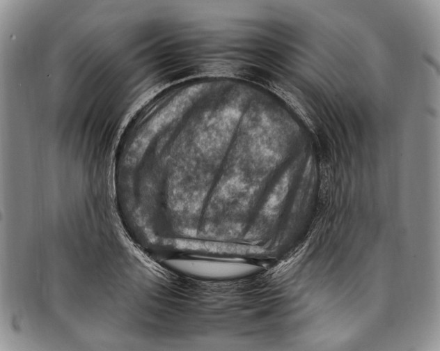 X0000098000939200804141203