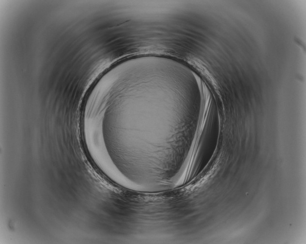 X0000098000941200804141203