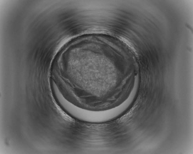 X0000098000942200804141203
