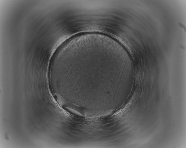 X0000098000943200804141203