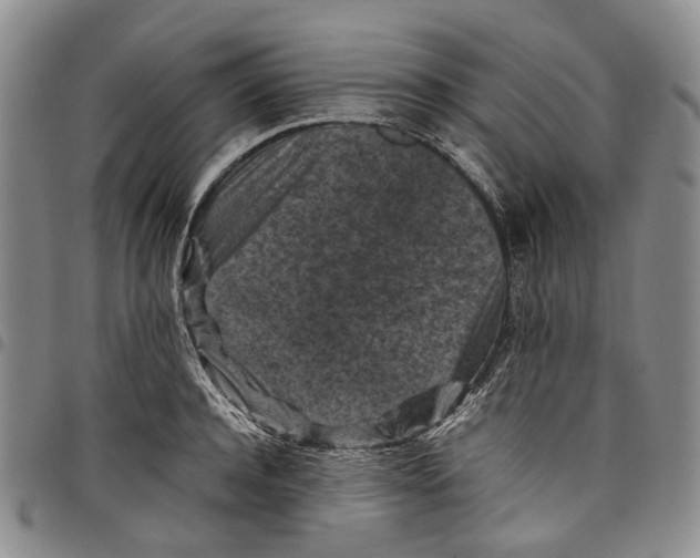 X0000098000944200804141203