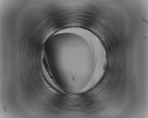 X0000098000945200804141203