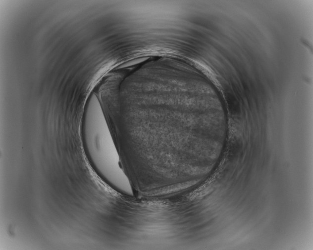 X0000098000946200804141203