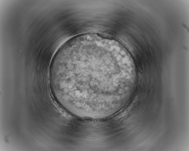 X0000098000948200804141203