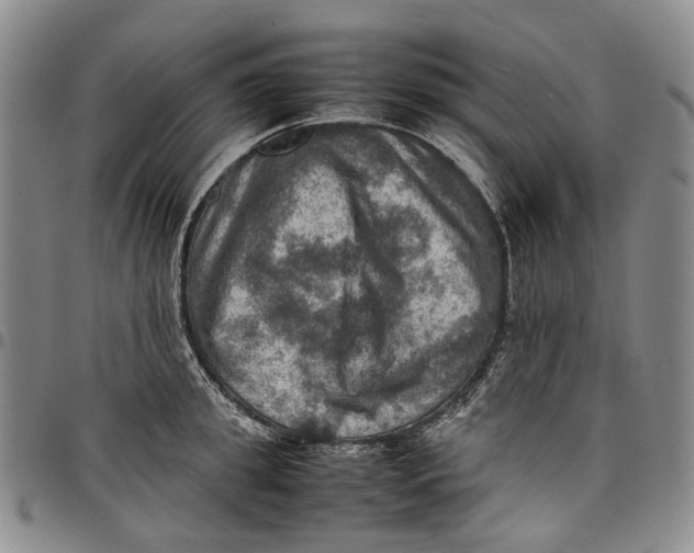 X0000098000949200804141203