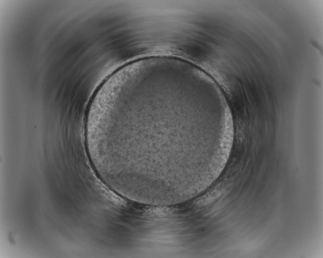 X0000098000950200804141203