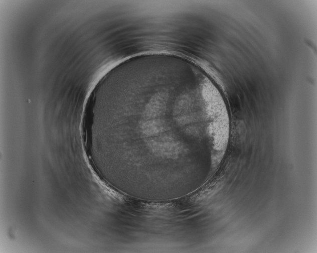 X0000098000951200804141203