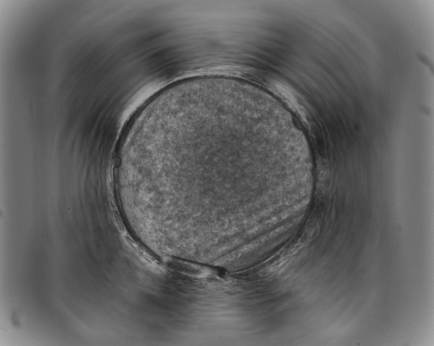 X0000098000952200804141203