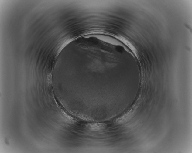 X0000098000953200804141203