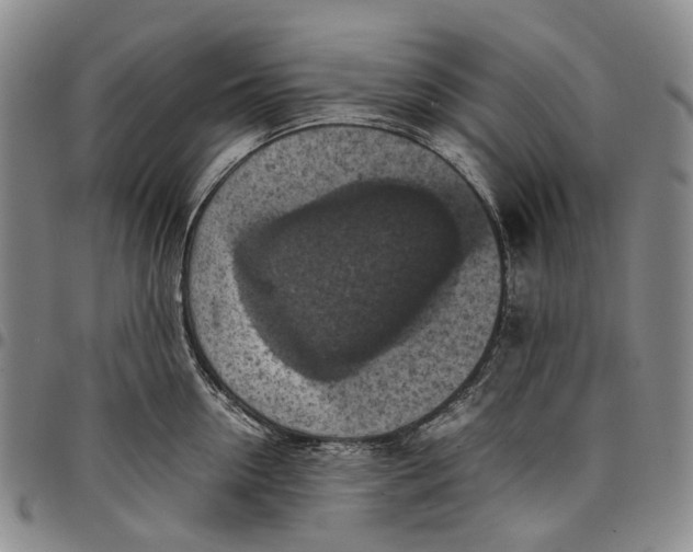 X0000098000954200804141203