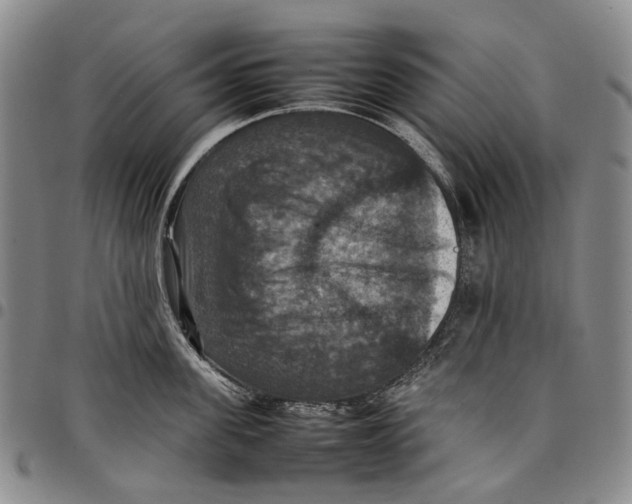 X0000098000955200804141203