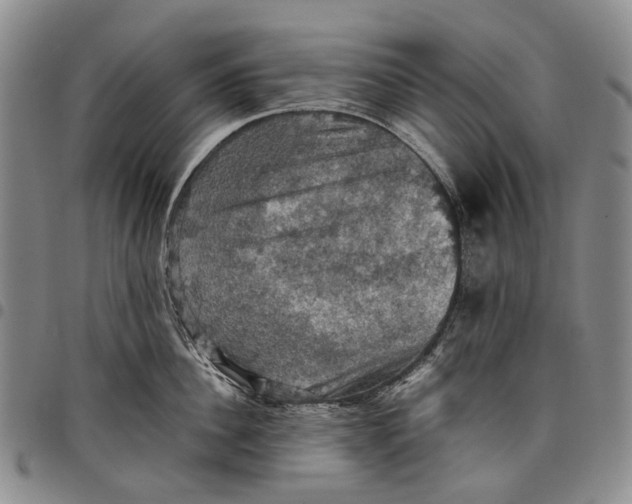 X0000098000956200804141203